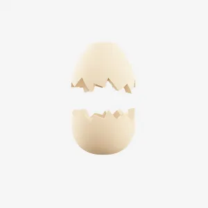 Zee.Pinz EGG