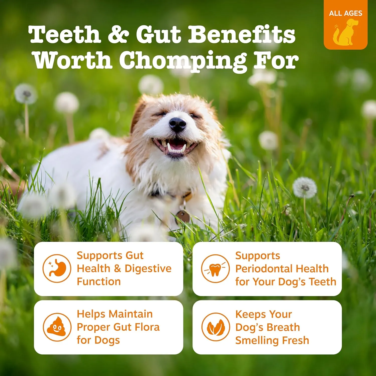 Zesty Paws OraStix for Dogs - Probiotic Sticks with Hemp Seed Curcumin Ginger Root Taurine - Supports Gut Function Flora Immune System Proprietary Healthy Teeth Gum Blend - 12oz